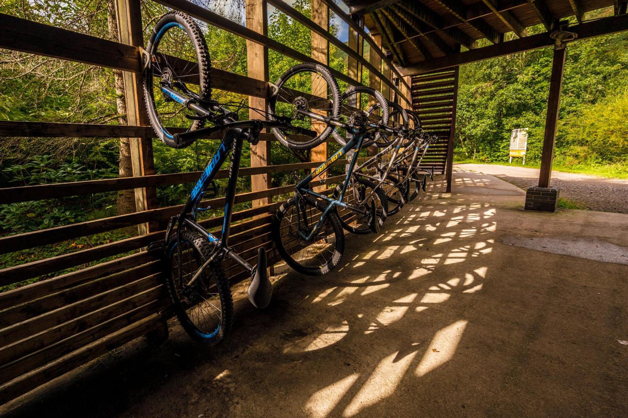 Afan Forest Retreat Cozy Getaway, Pet Friendly Cymmer Eksteriør bilde