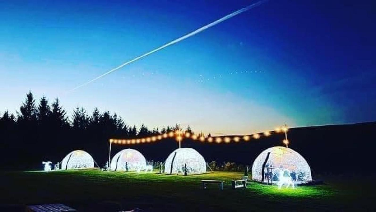 Afan Forest Retreat Cozy Getaway, Pet Friendly Cymmer Eksteriør bilde